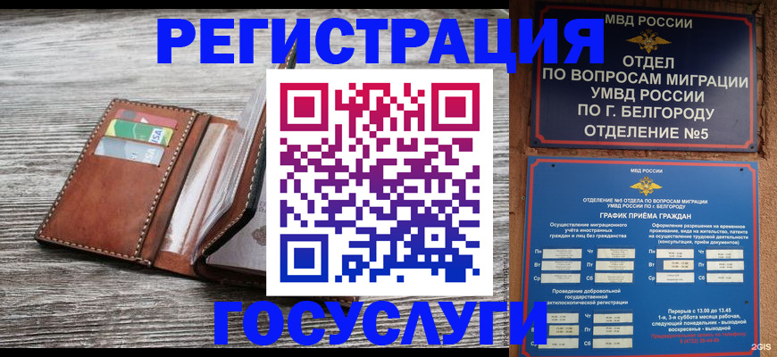 временная регистрация гарантия в Долгопрудном